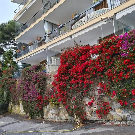 Rocce Di Capo Mimosa -